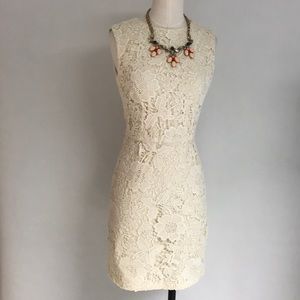 ZARA Open Back Lace Dress NWT